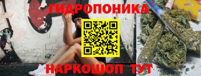 гидропоника Кинель