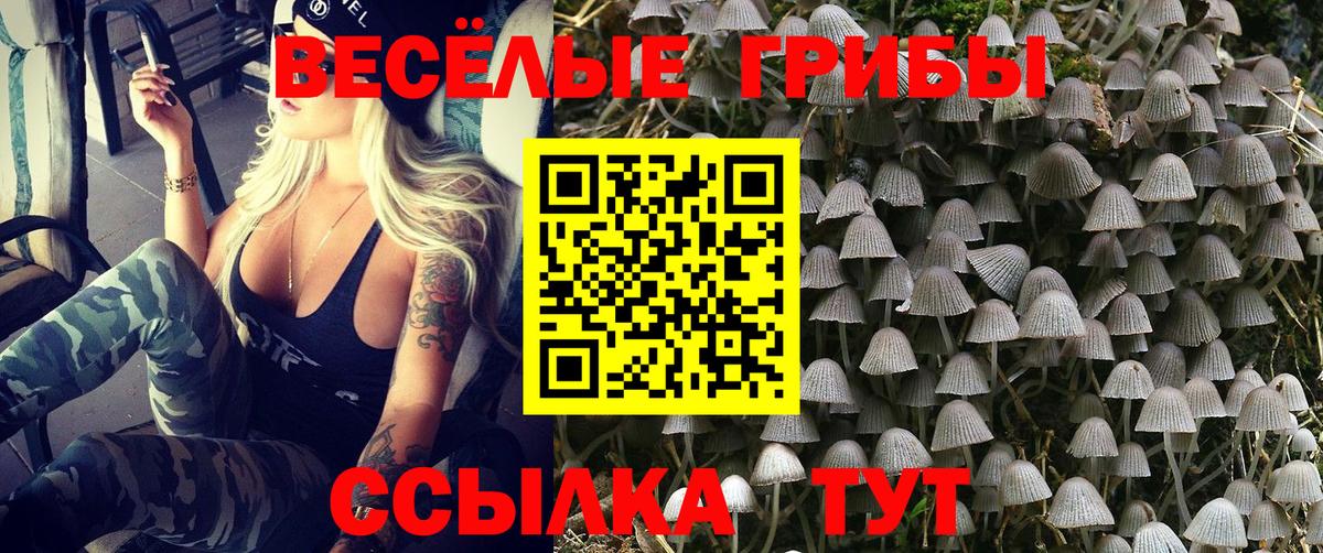 Краснокаменск  Псилоцибиновые грибы мухоморы  Вход с VPN 